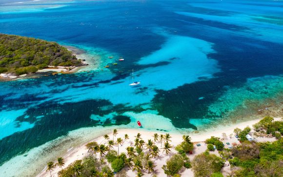 Ihre Kreuzfahrt im Detail