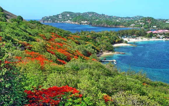 Ihre Kreuzfahrt im Detail