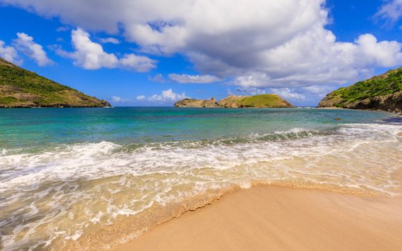 Ihre Kreuzfahrt im Detail