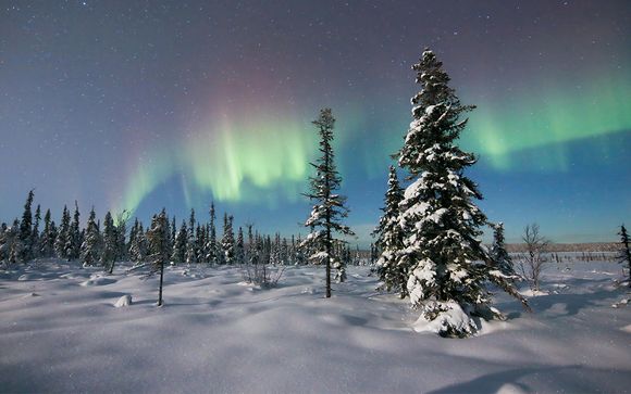 Ihre Rundreise im Detail