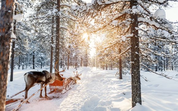 Ihre Reise im Detail