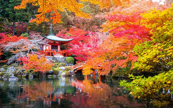 Ihre Rundreise im Detail