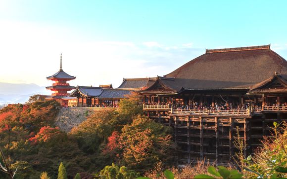 Ihre Rundreise im Detail