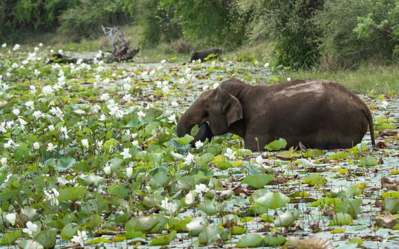 Ihre Rundreise im Detail