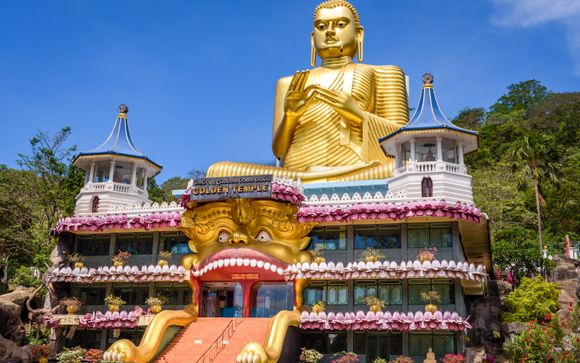 Ihr Programm im Detail