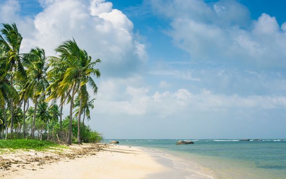 Ihr Programm im Detail