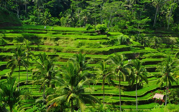 Willkommen in Indonesien!