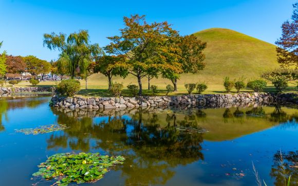 Ihre Reise im Detail