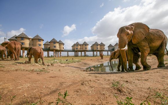 Für Ihren Komfort während der Safari