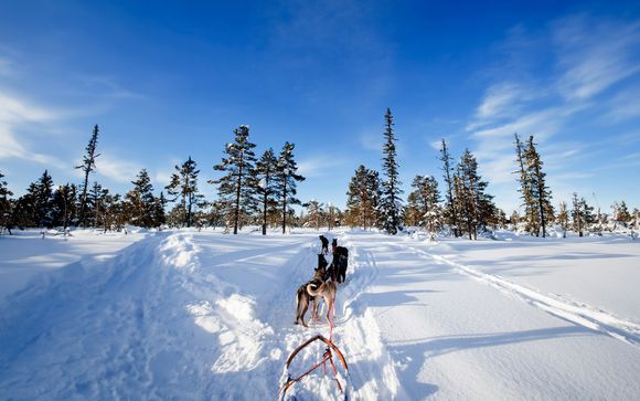 Ihre Ausflugsoptionen