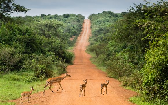 Ihre Rundreise im Überblick