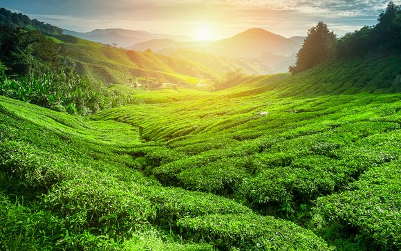 Ihre Rundreise im Detail