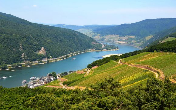Rhein-Kreuzfahrt von Mainz nach Amsterdam