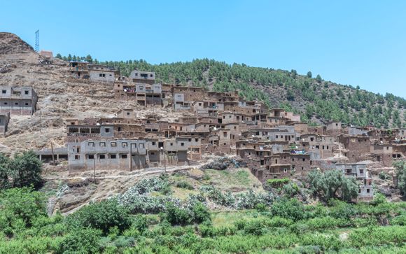 Ihre Reise im Detail