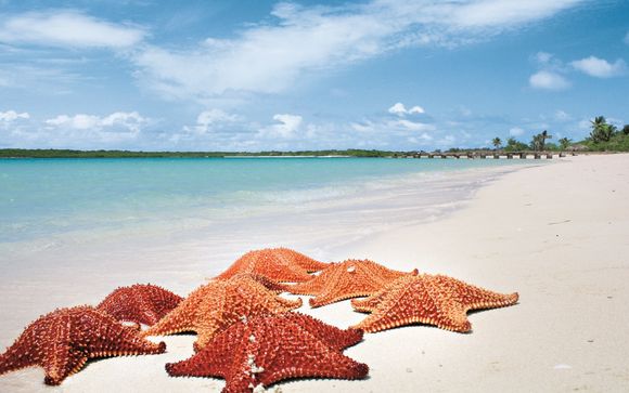 Willkommen in... Varadero!