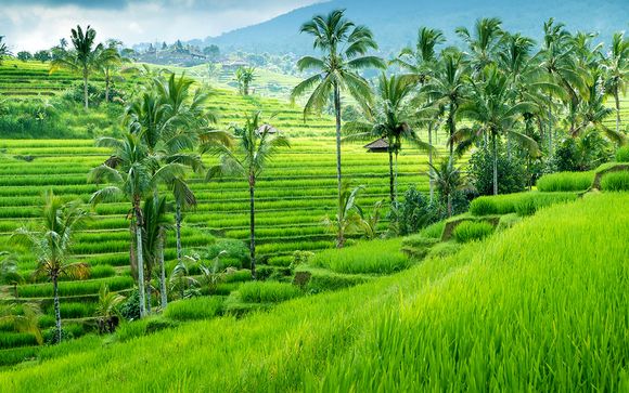 Willkommen auf... Bali!