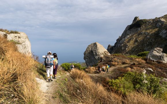 Ihre Rundreise im Detail