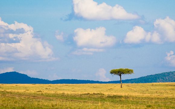 Willkommen in... Kenia!