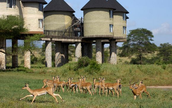 Ihre Hotels auf Ihrer Safari