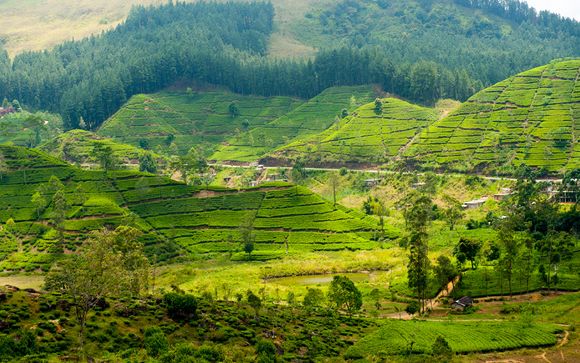 Ihre Rundreise im Detail