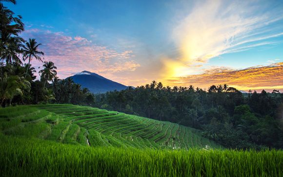 Willkommen auf... Bali!