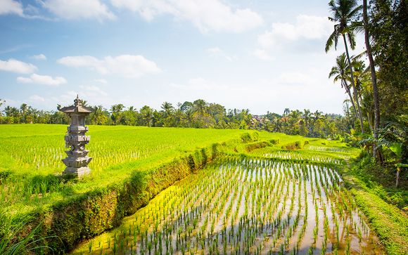 Willkommen auf... Bali!
