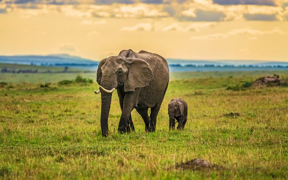 Ihre Safaris im Detail