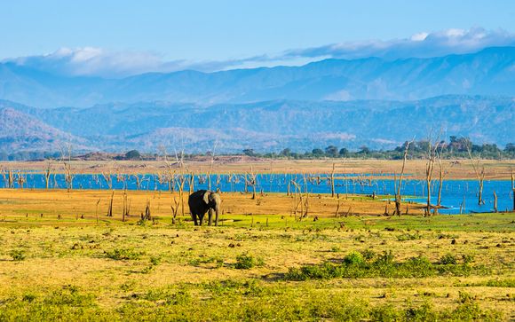 Ihre Rundreise im Detail