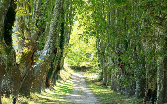 Willkommen in... der Provence!