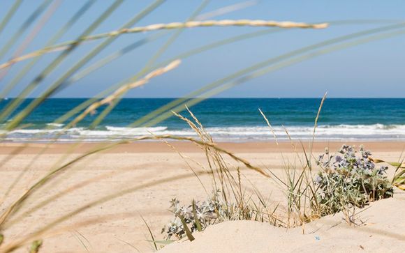 Willkommen in... Andalusien!