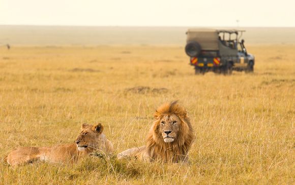 Ihre Safari