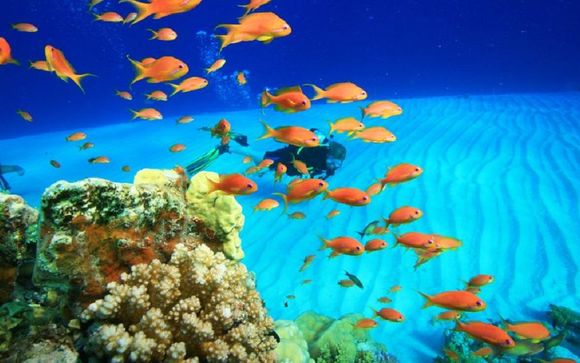 Ihre Kreuzfahrt im Detail