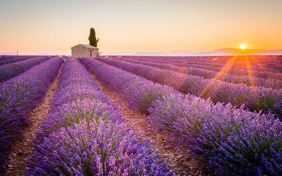Willkommen in... der Provence!