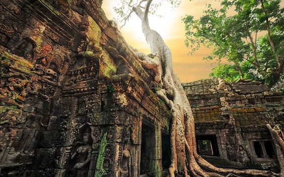 Ihre Rundreise im Detail