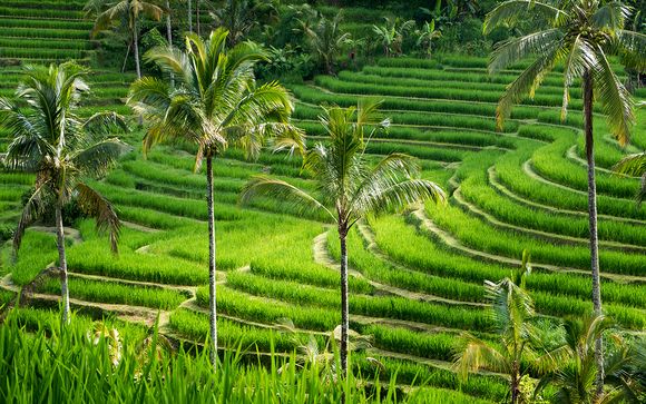 Willkommen auf... Bali!