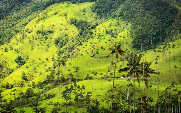 Willkommen in... Kolumbien!
