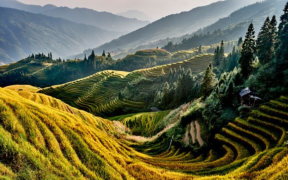 Ihre Rundreise im Detail