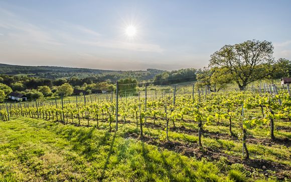 Willkommen im... Burgenland !