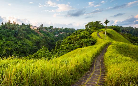 Willkommen auf... Bali!