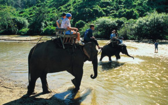 Ihre Ausflugsoptionen