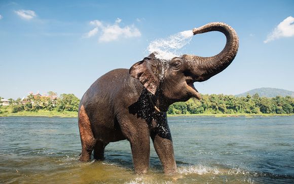 Ihre Rundreise im Detail