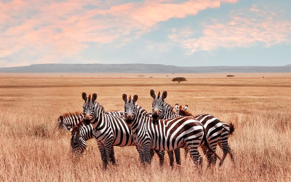 Ihre Rundreise im Detail