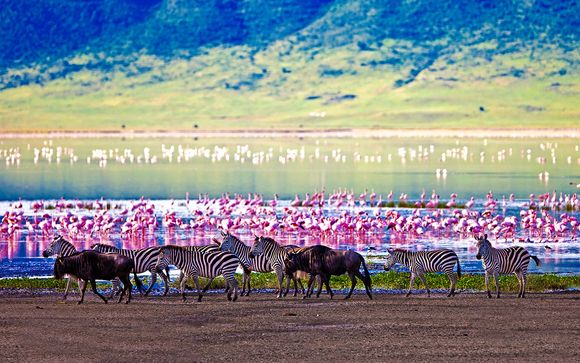 Willkommen in... Tansania!