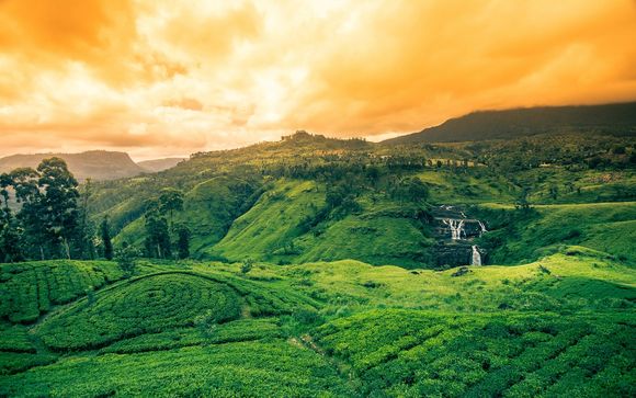 Rundreise Sri Lanka mit Verlängerung im Amaya Beach Passikudah 4*