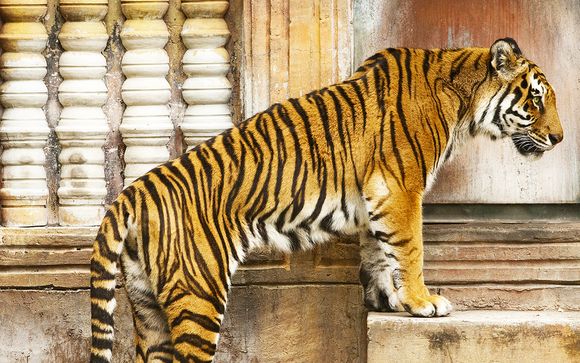 Ihre Rundreise im Detail