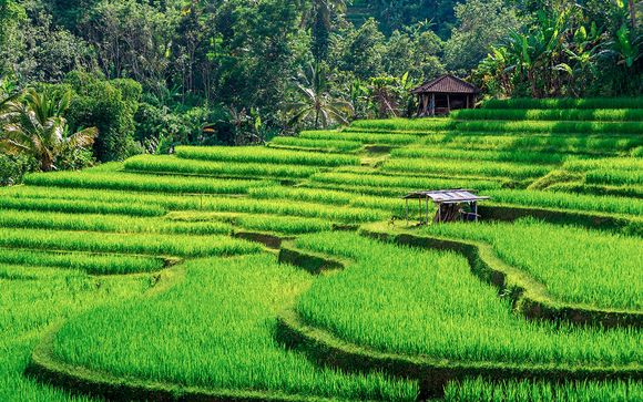 Willkommen auf... Bali!