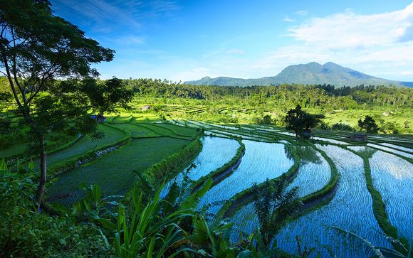 Willkommen auf... Bali!