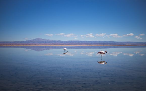 Ihre Rundreise im Detail