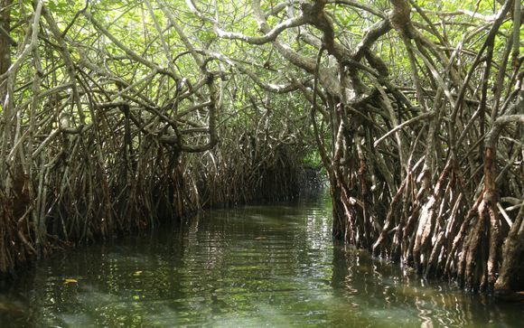 ¡Completa tu estancia!