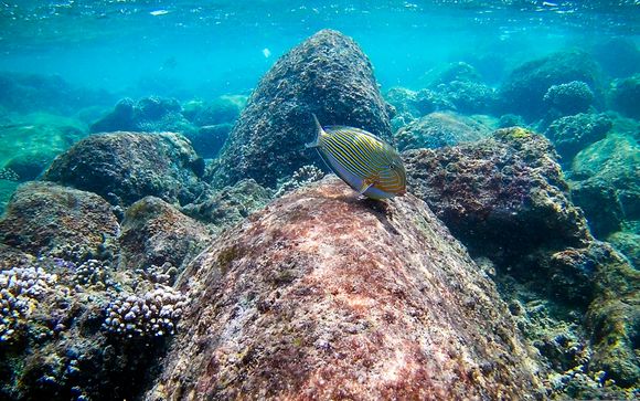 ¡Completa tu estancia!